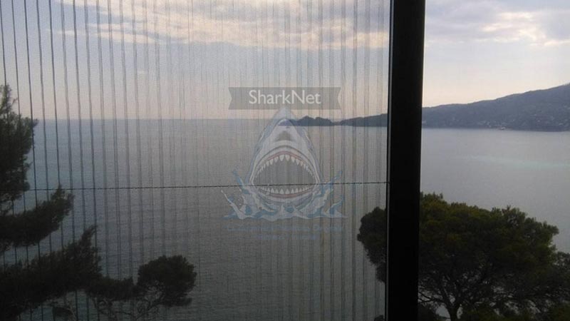 Sharknet 04 14